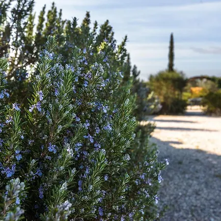 Il Macchione Πιέντσα